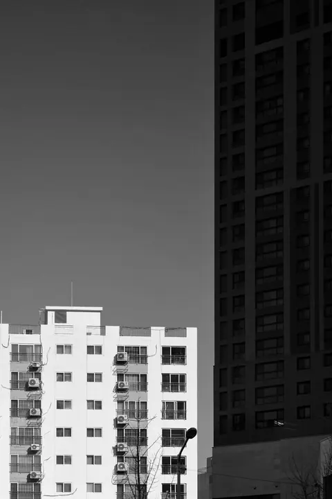 Daylight · 03