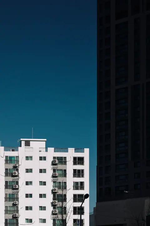 Shelf · 03