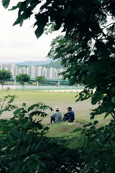 Busan Vivid · 02